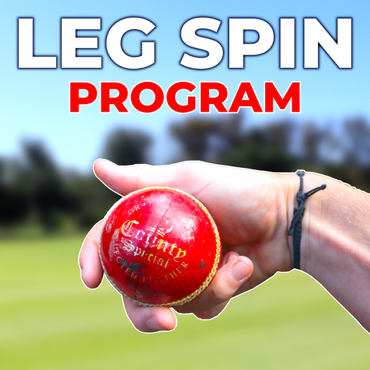 Leg Spin Training Schedule