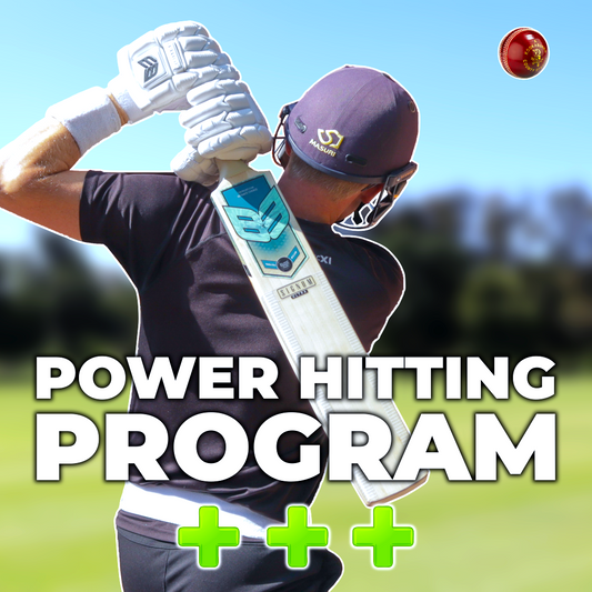 Power Hitting Training Schedule